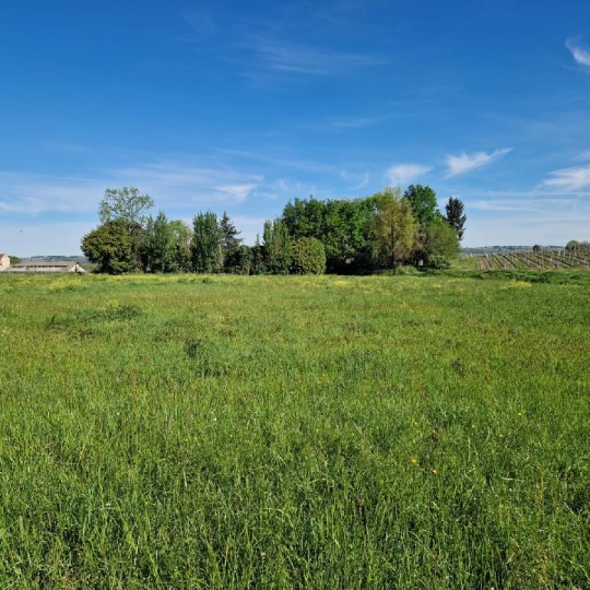 KHEOPS INVEST' : Terrain | SAINT-PIERRE-DE-MONS (33210) | 1388.00m2 | 71 500 € KHEOPS INVEST' : Terrain | SAINT-PIERRE-DE-MONS (33210) | 1388.00m2 | 71 500 €
